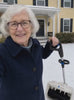 Groundkeep lawn sweeper