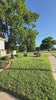 Groundkeep lawn sweeper